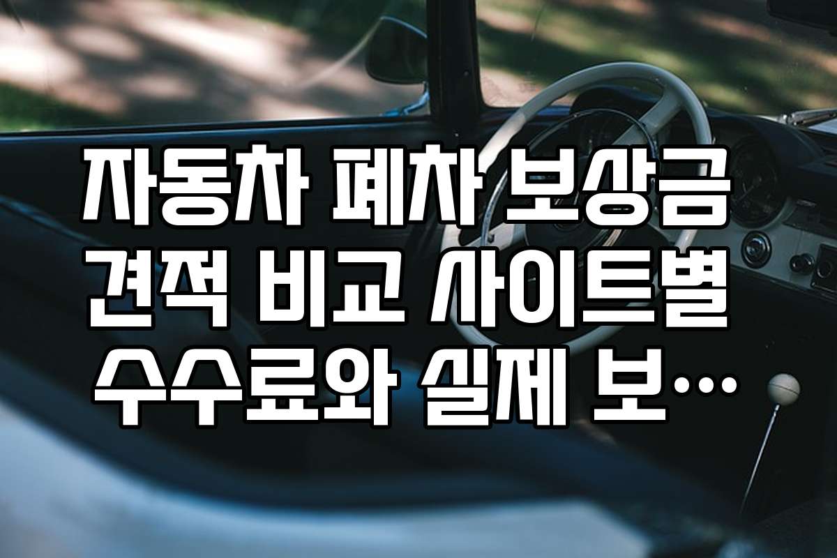 자동차 폐차 보상금 견적 비교 사이트별 수수료와 실제 보상금 차이 알아보기