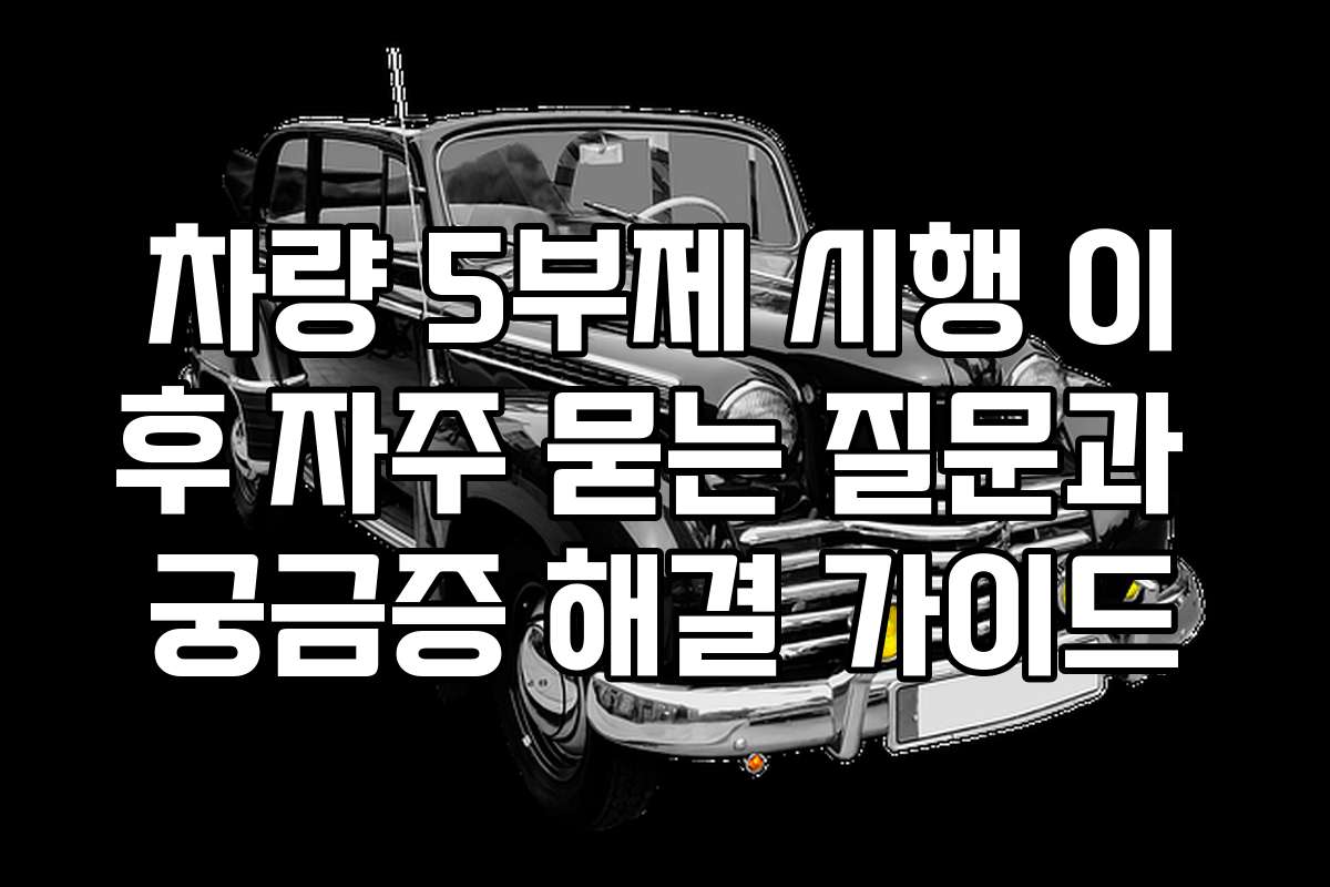 차량 5부제 시행 이후 자주 묻는 질문과 궁금증 해결 가이드