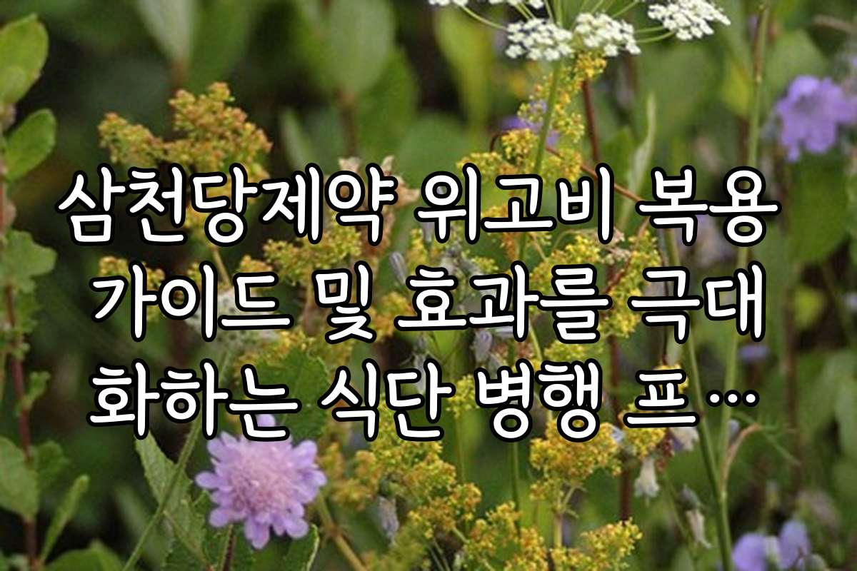 삼천당제약 위고비 복용 가이드 및 효과를 극대화하는 식단 병행 프로그램 안내