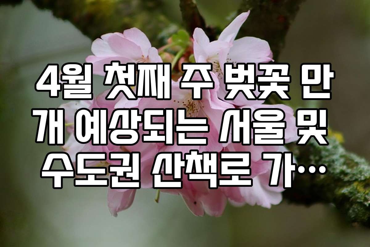 4월 첫째 주 벚꽃 만개 예상되는 서울 및 수도권 산책로 가이드