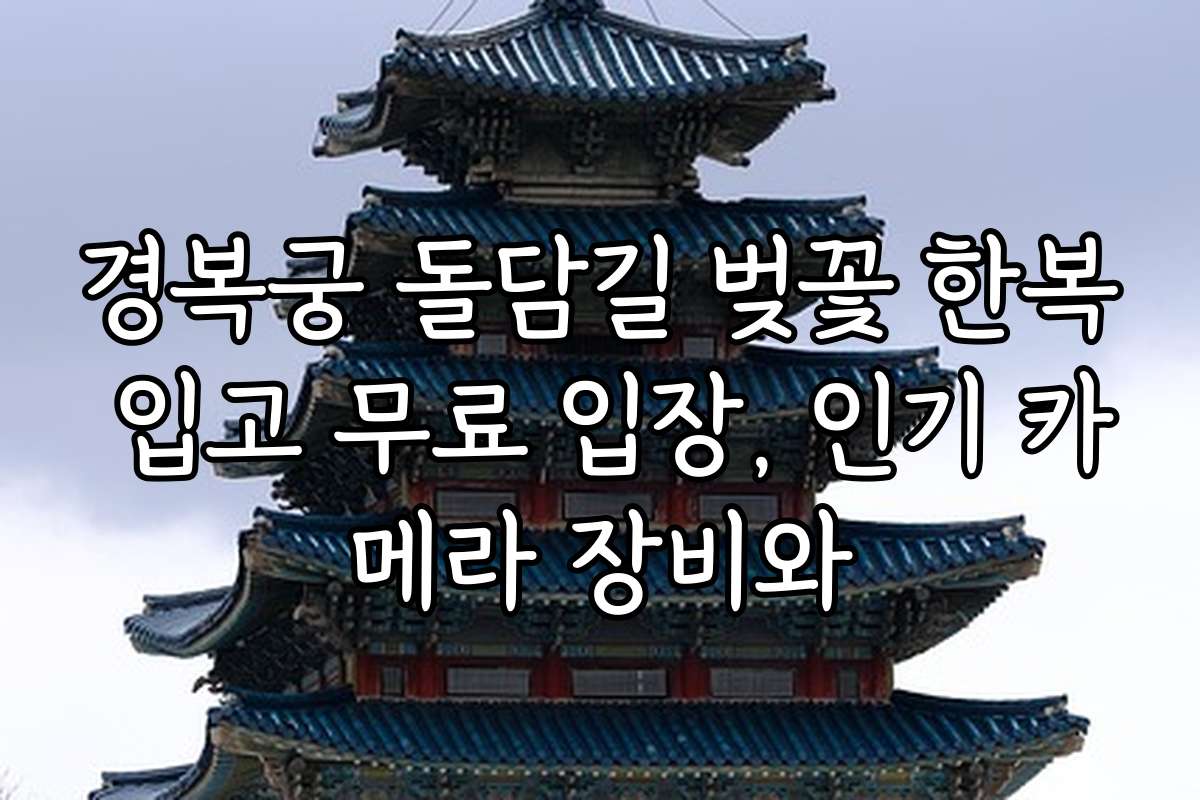 경복궁 돌담길 벚꽃 한복 입고 무료 입장, 인기 카메라 장비와