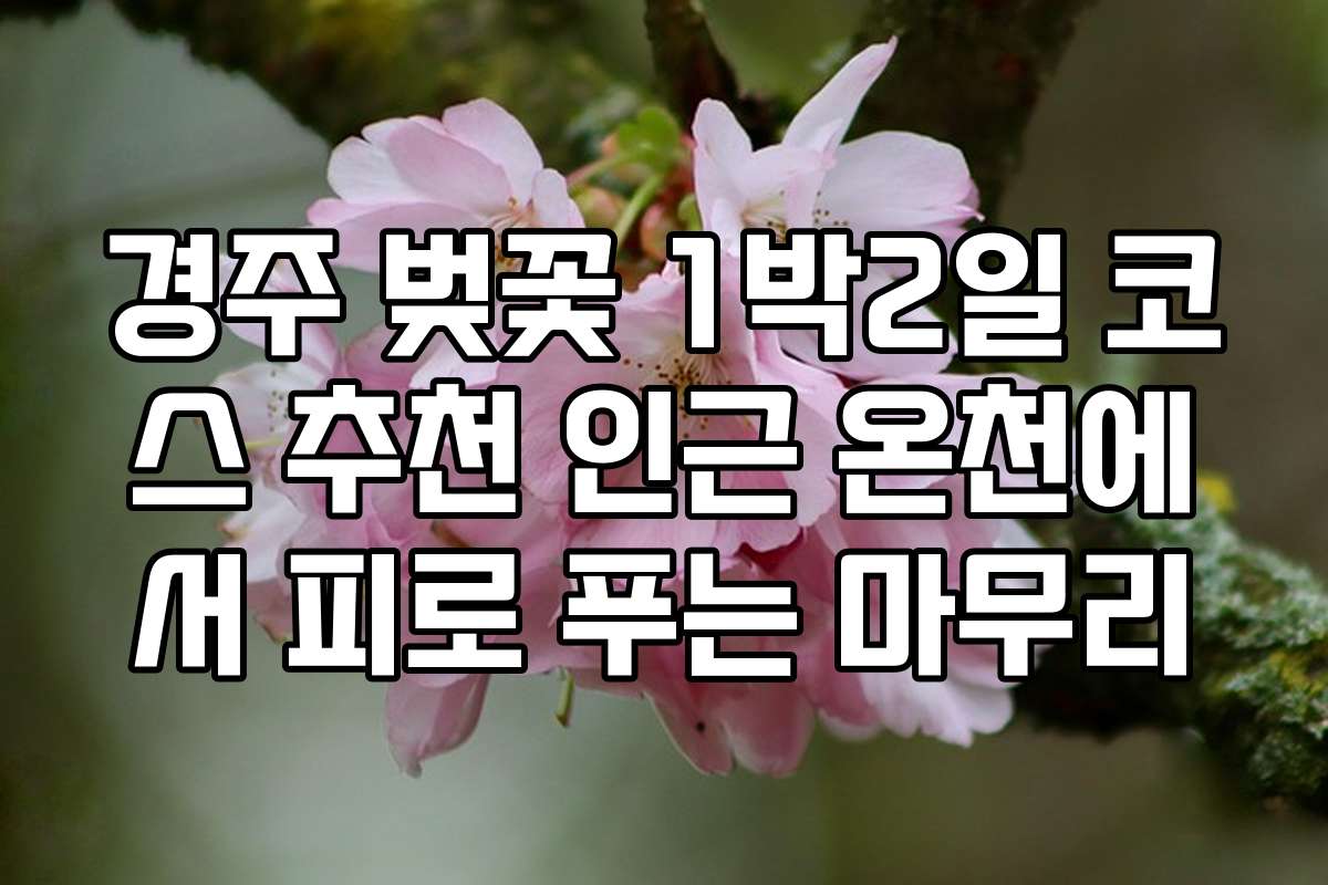 경주 벚꽃 1박2일 코스 추천 인근 온천에서 피로 푸는 마무리