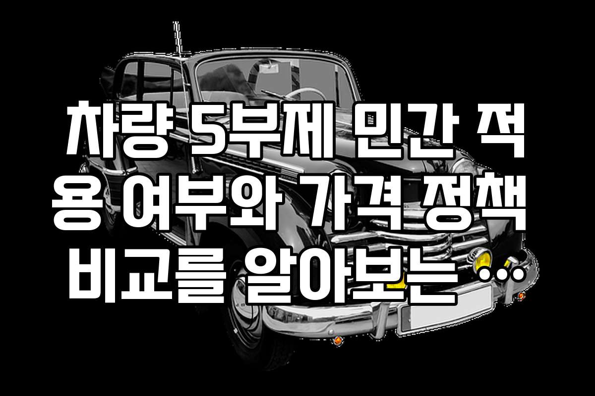차량 5부제 민간 적용 여부와 가격 정책 비교를 알아보는 방법
