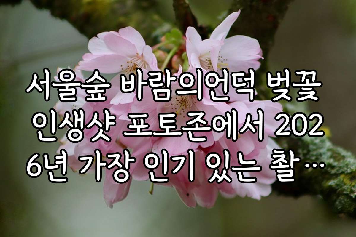 서울숲 바람의언덕 벚꽃 인생샷 포토존에서 2026년 가장 인기 있는 촬영 포인트를 찾는법