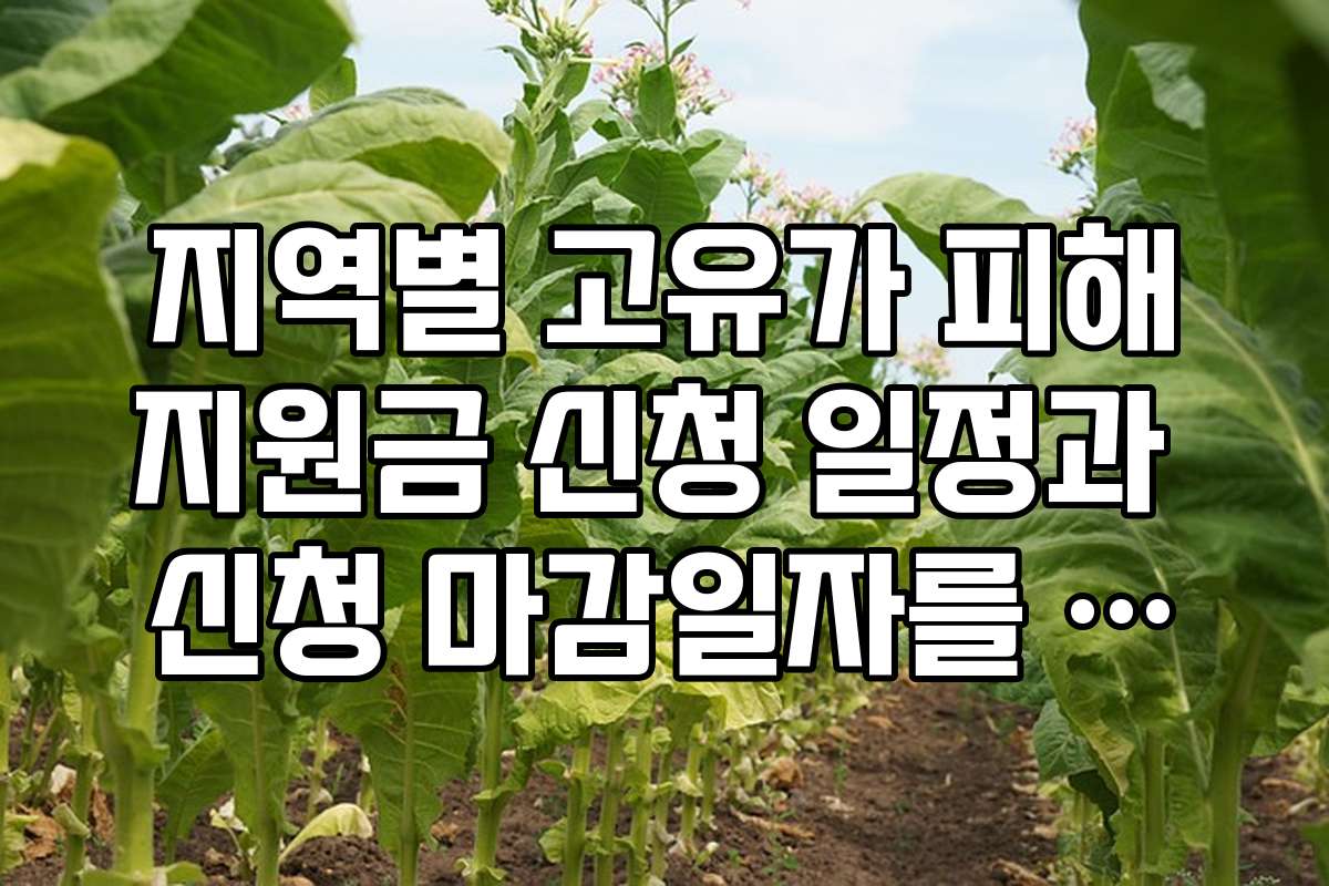 지역별 고유가 피해지원금 신청 일정과 신청 마감일자를 빠르게 파악하는 방법