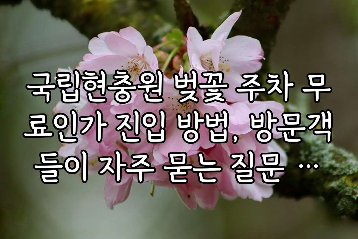 국립현충원 벚꽃 주차 무료인가 진입 방법, 방문객들이 자주 묻는 질문 모음