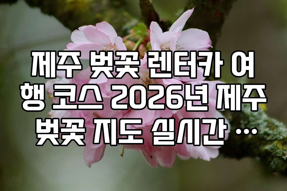 제주 벚꽃 렌터카 여행 코스 2026년 제주 벚꽃 지도 실시간 다운로드 주소