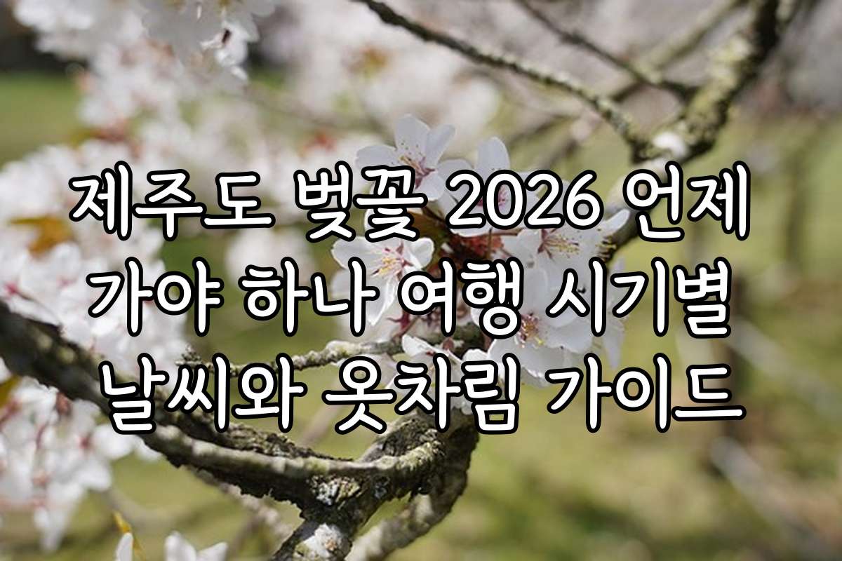 제주도 벚꽃 2026 언제 가야 하나 여행 시기별 날씨와 옷차림 가이드