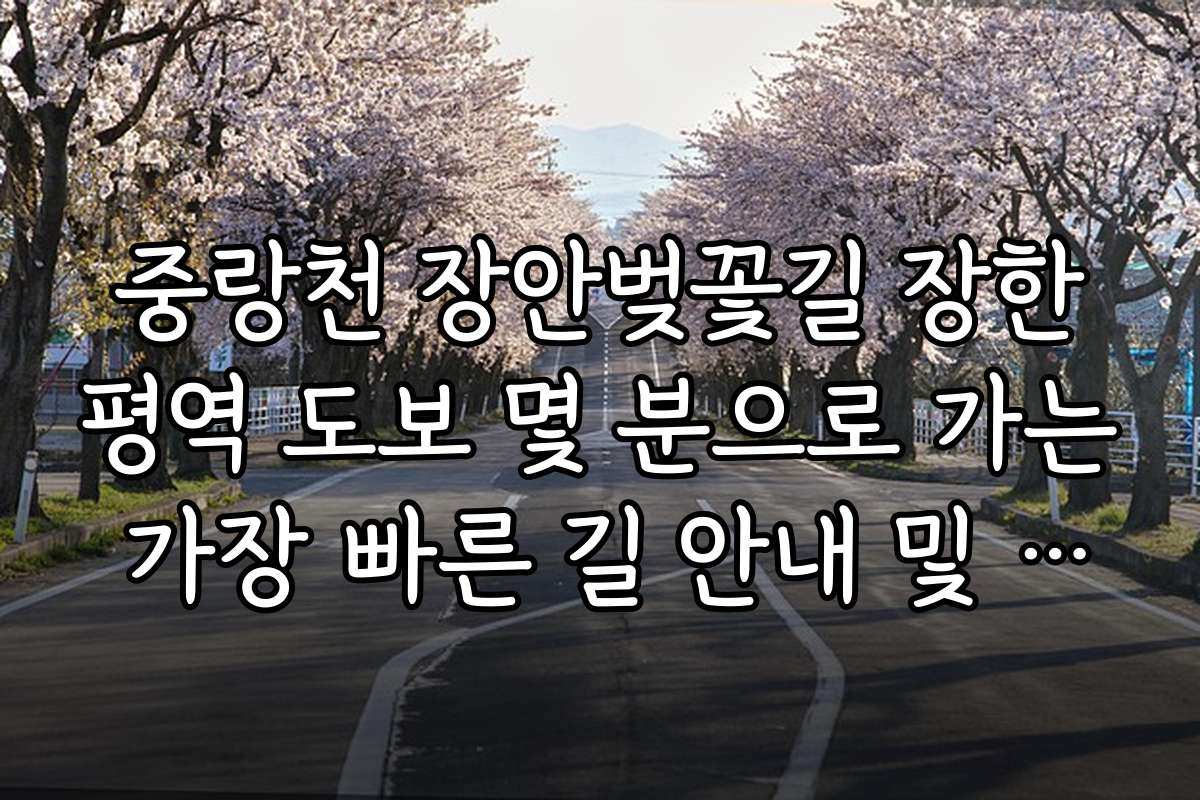 중랑천 장안벚꽃길 장한평역 도보 몇 분으로 가는 가장 빠른 길 안내 및 교통수단