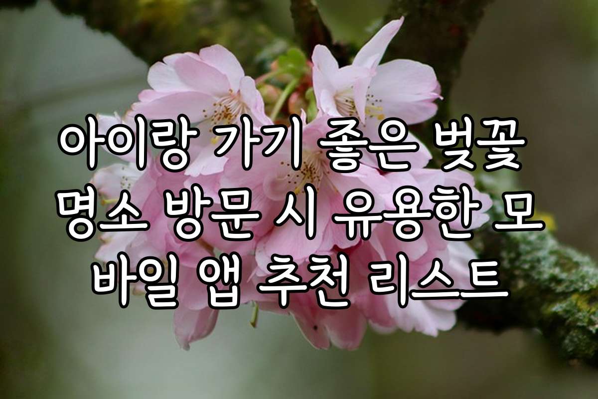 아이랑 가기 좋은 벚꽃 명소 방문 시 유용한 모바일 앱 추천 리스트