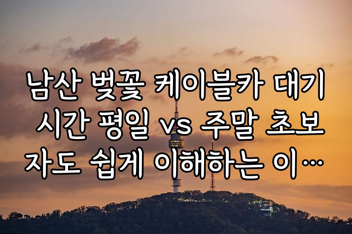 남산 벚꽃 케이블카 대기 시간 평일 vs 주말 초보자도 쉽게 이해하는 이용 가이드와 안전 수칙