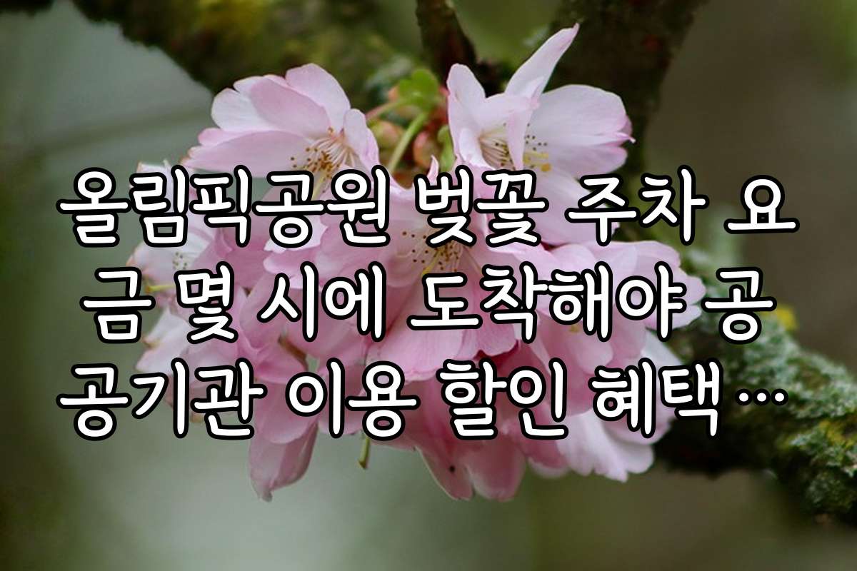 올림픽공원 벚꽃 주차 요금 몇 시에 도착해야 공공기관 이용 할인 혜택 받기