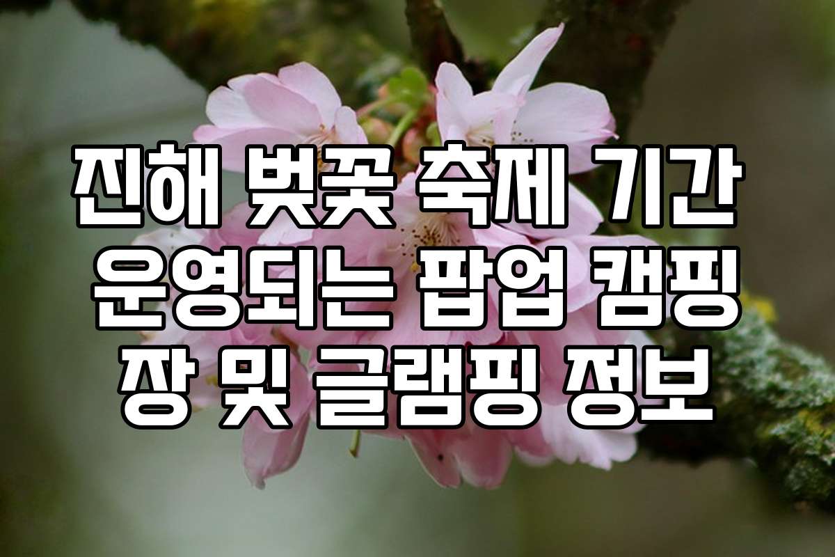진해 벚꽃 축제 기간 운영되는 팝업 캠핑장 및 글램핑 정보