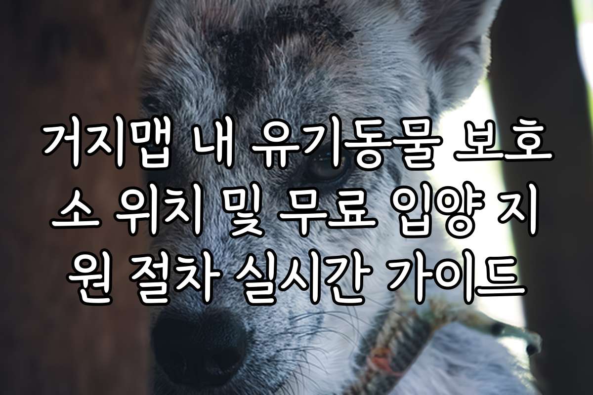 거지맵 내 유기동물 보호소 위치 및 무료 입양 지원 절차 실시간 가이드