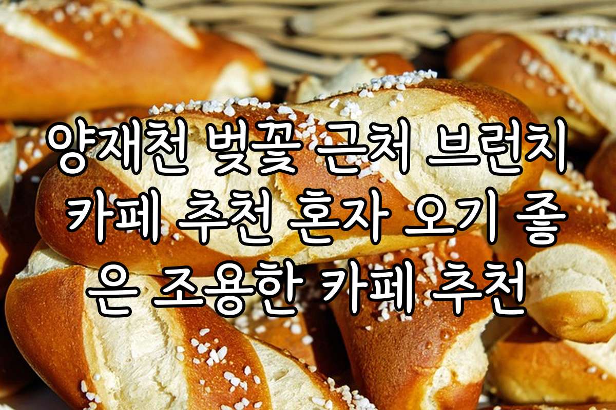 양재천 벚꽃 근처 브런치 카페 추천 혼자 오기 좋은 조용한 카페 추천