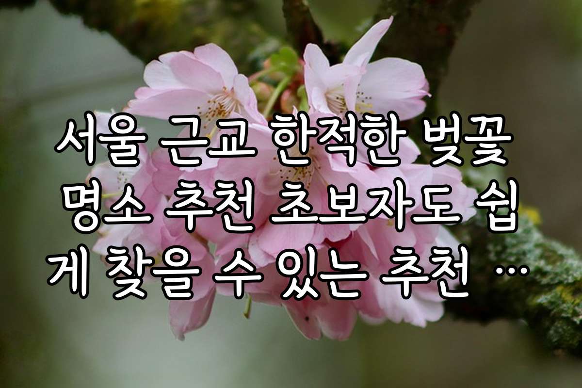 서울 근교 한적한 벚꽃 명소 추천 초보자도 쉽게 찾을 수 있는 추천 가이드