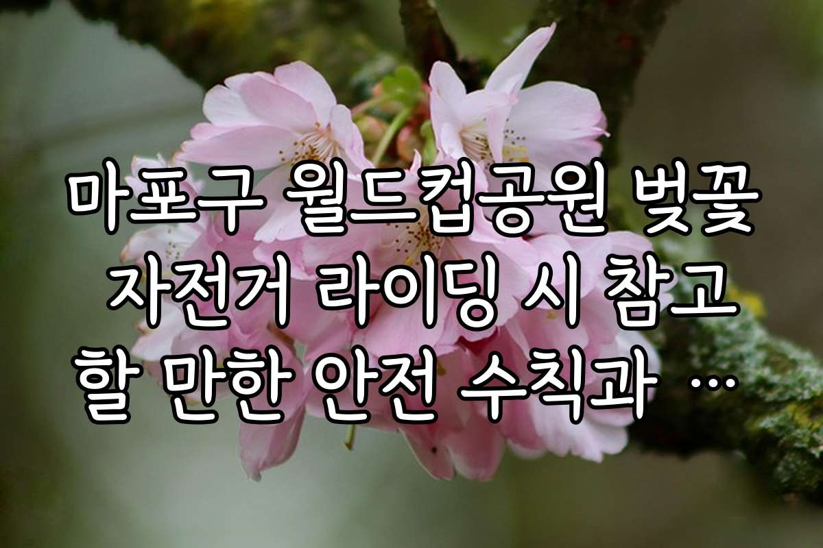마포구 월드컵공원 벚꽃 자전거 라이딩 시 참고할 만한 안전 수칙과 가이드