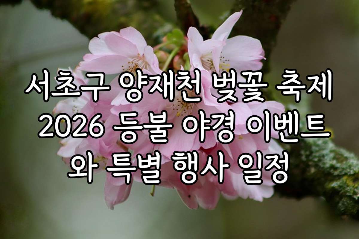 서초구 양재천 벚꽃 축제 2026 등불 야경 이벤트와 특별 행사 일정