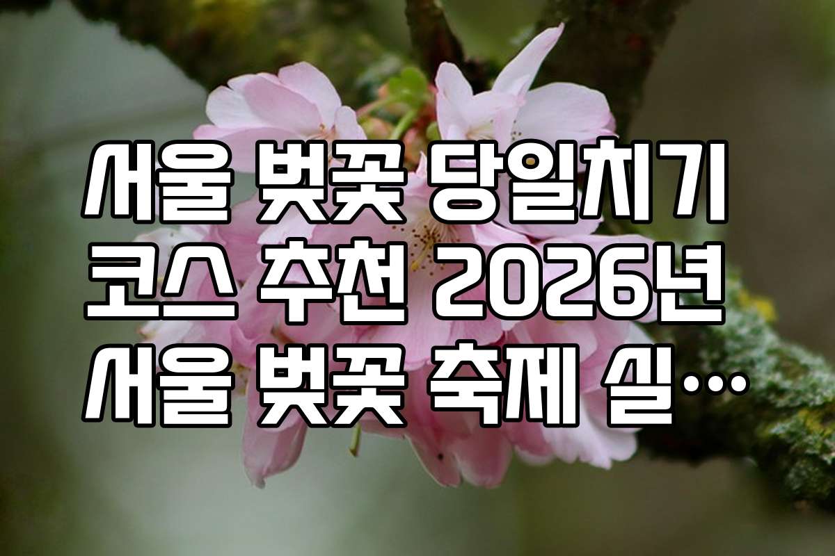 서울 벚꽃 당일치기 코스 추천 2026년 서울 벚꽃 축제 실시간 알림 설정