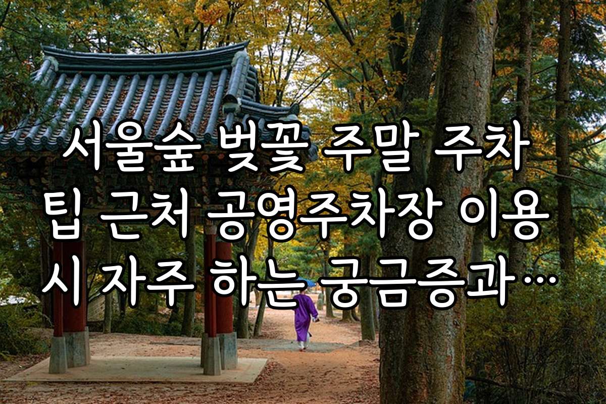 서울숲 벚꽃 주말 주차 팁 근처 공영주차장 이용 시 자주 하는 궁금증과 해결법