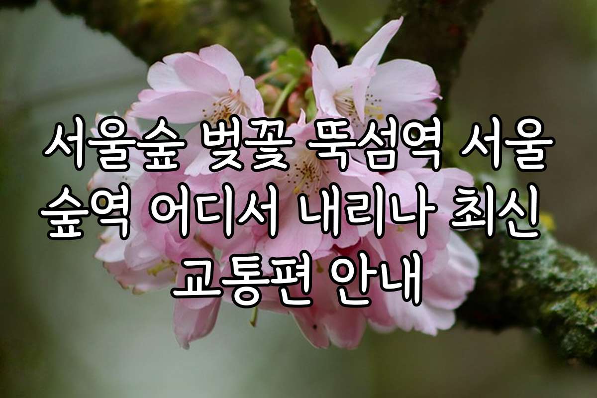 서울숲 벚꽃 뚝섬역 서울숲역 어디서 내리나 최신 교통편 안내