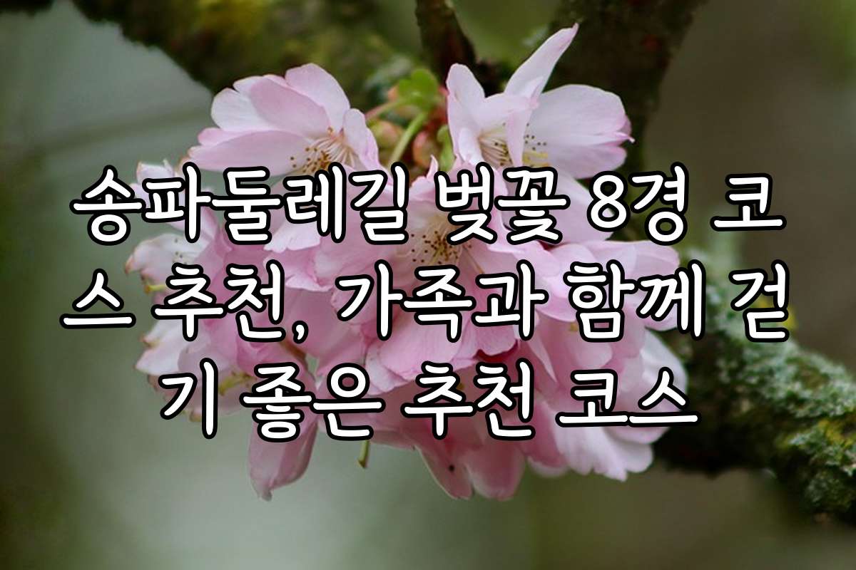 송파둘레길 벚꽃 8경 코스 추천, 가족과 함께 걷기 좋은 추천 코스