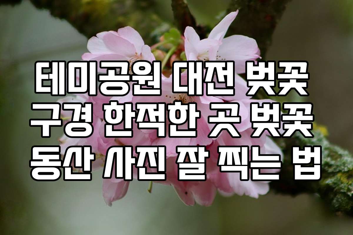 테미공원 대전 벚꽃 구경 한적한 곳 벚꽃 동산 사진 잘 찍는 법