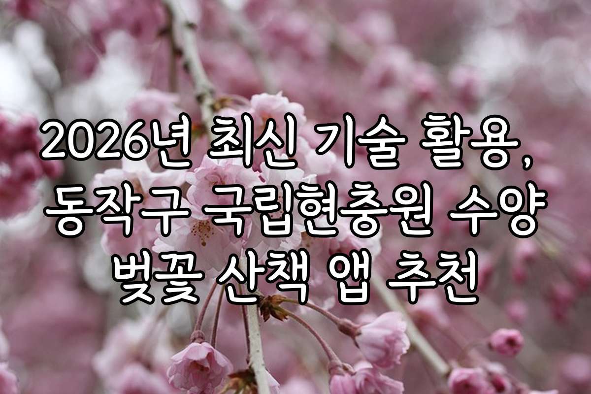 2026년 최신 기술 활용, 동작구 국립현충원 수양벚꽃 산책 앱 추천