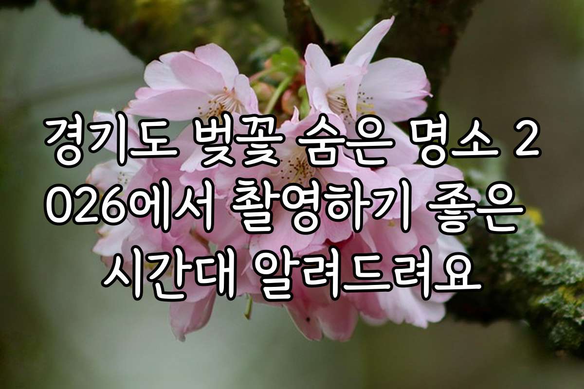 경기도 벚꽃 숨은 명소 2026에서 촬영하기 좋은 시간대 알려드려요