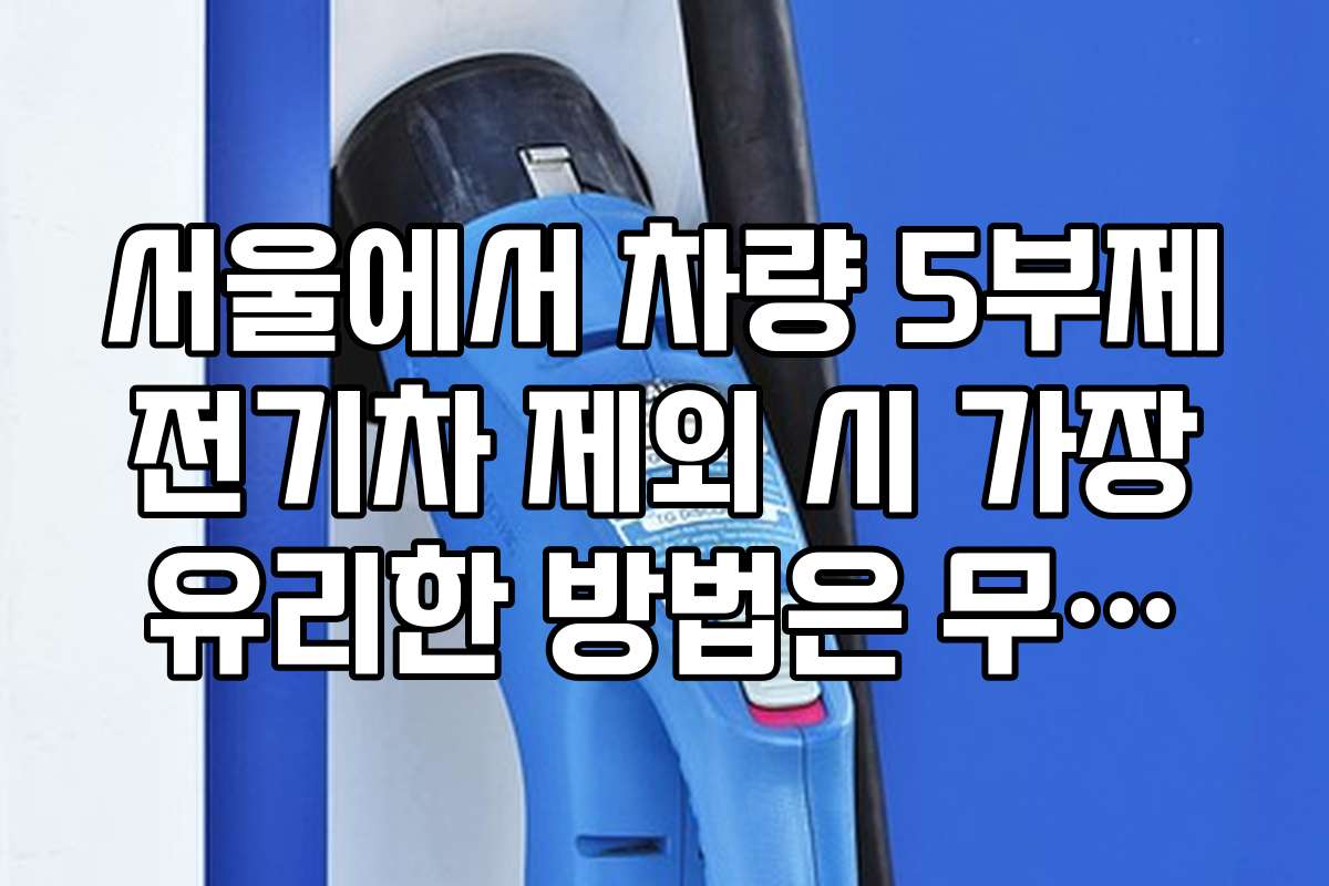 서울에서 차량 5부제 전기차 제외 시 가장 유리한 방법은 무엇인가요