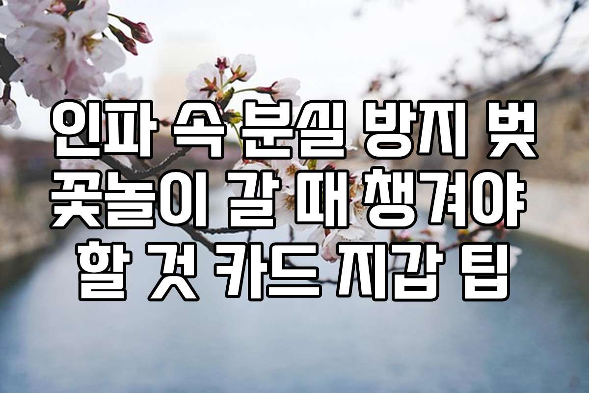 인파 속 분실 방지 벚꽃놀이 갈 때 챙겨야 할 것 카드 지갑 팁