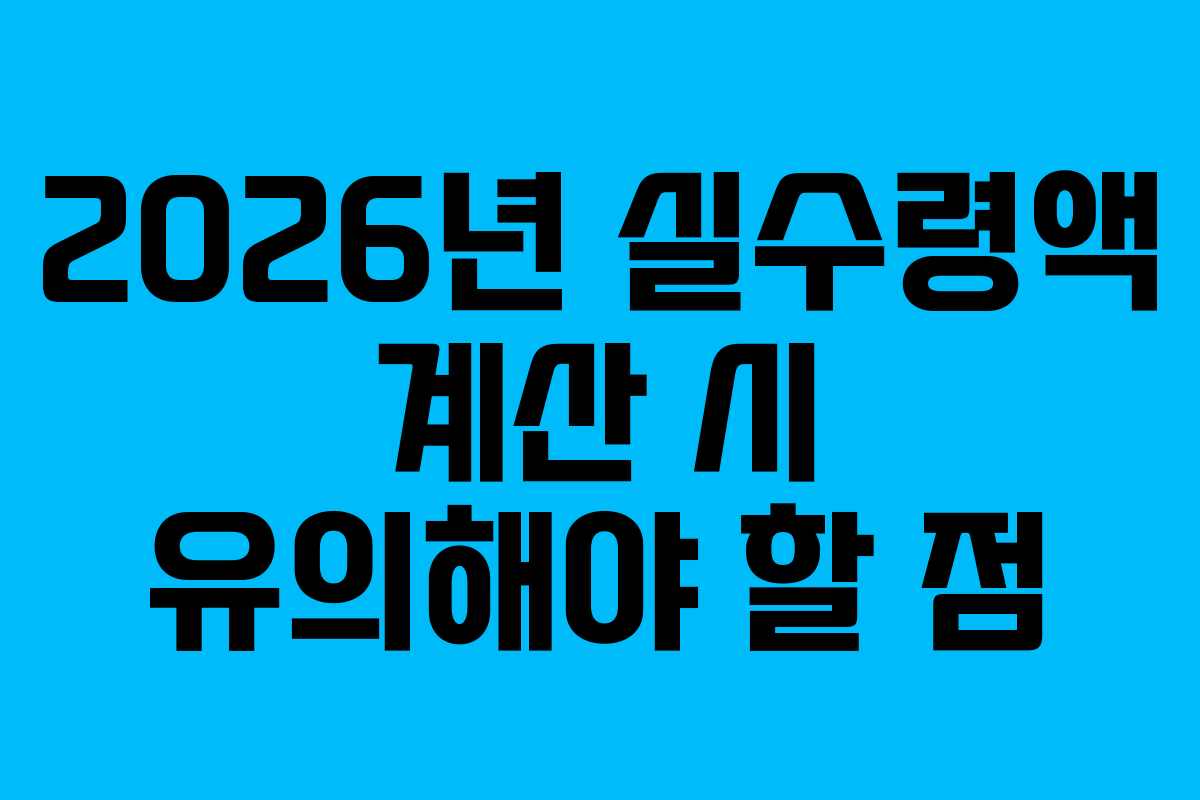 2026년 실수령액 계산 시 유의해야 할 점