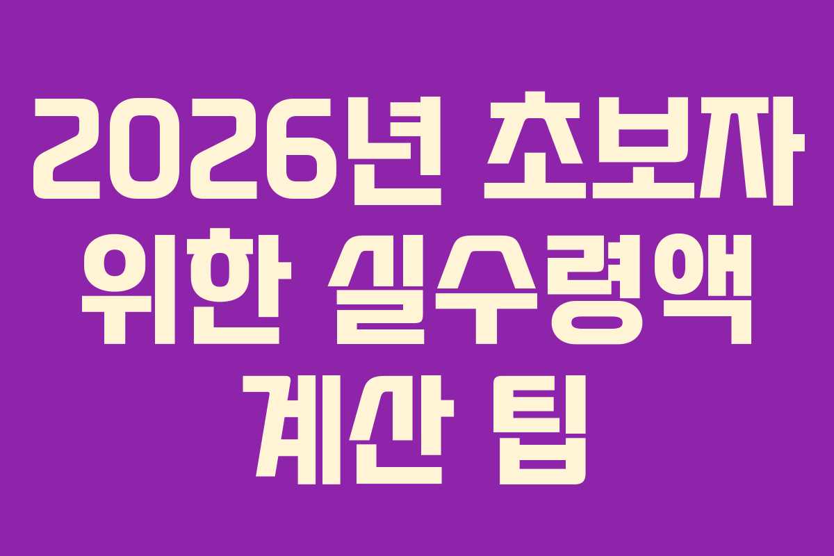 2026년 초보자 위한 실수령액 계산 팁