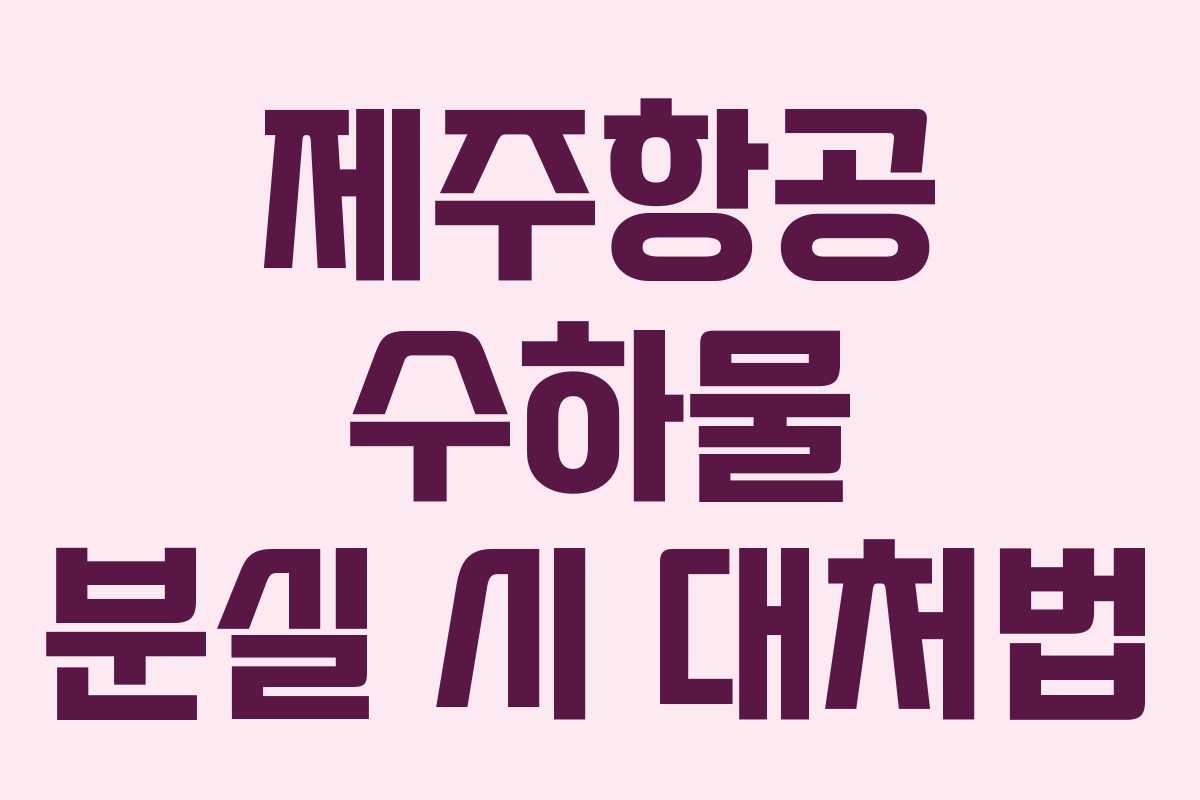 제주항공 수하물 분실 시 대처법