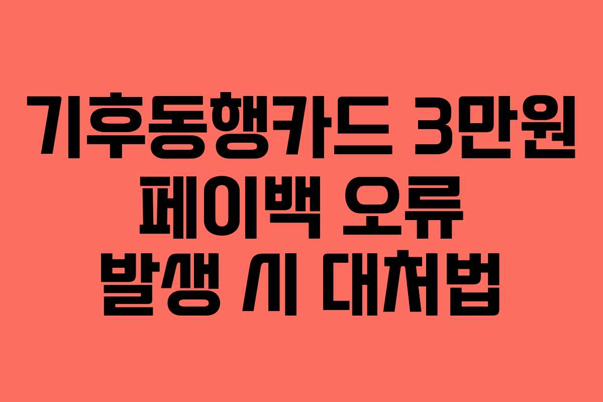 기후동행카드 3만원 페이백 오류 발생 시 대처법