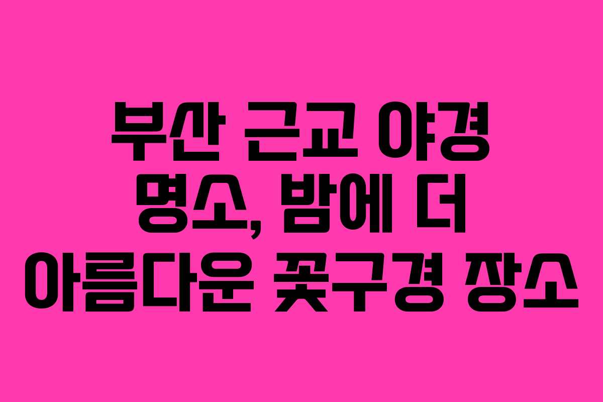 부산 근교 야경 명소, 밤에 더 아름다운 꽃구경 장소