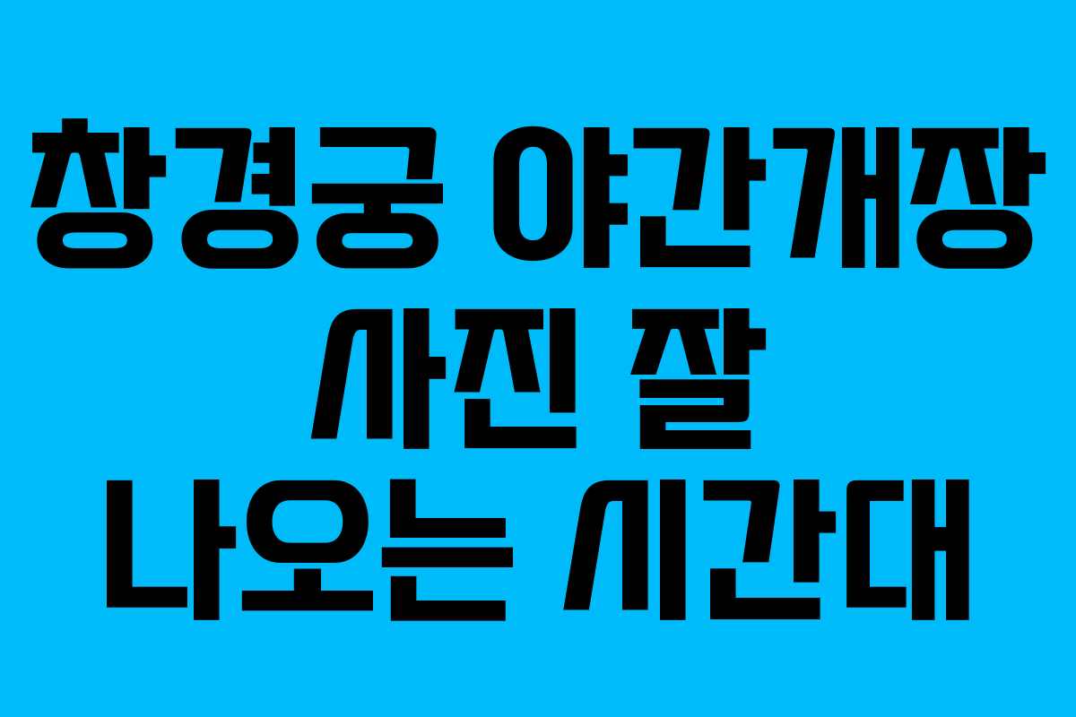 창경궁 야간개장 사진 잘 나오는 시간대
