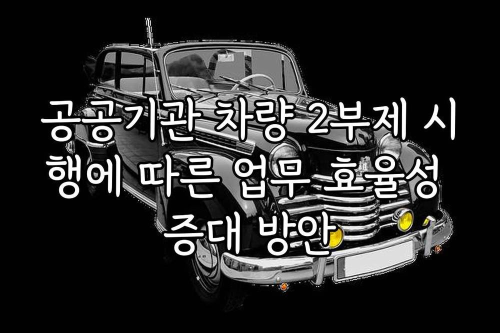 공공기관 차량 2부제 시행에 따른 업무 효율성 증대 방안
