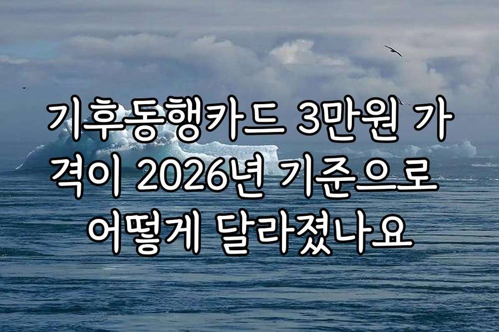 기후동행카드 3만원 가격이 2026년 기준으로 어떻게 달라졌나요