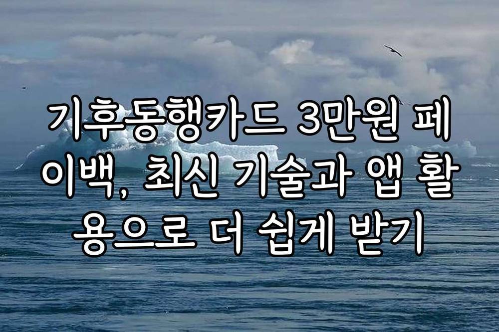 기후동행카드 3만원 페이백, 최신 기술과 앱 활용으로 더 쉽게 받기