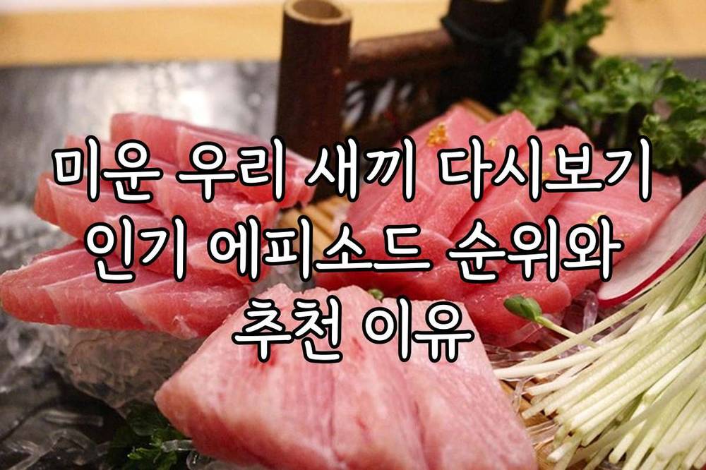 미운 우리 새끼 다시보기 인기 에피소드 순위와 추천 이유