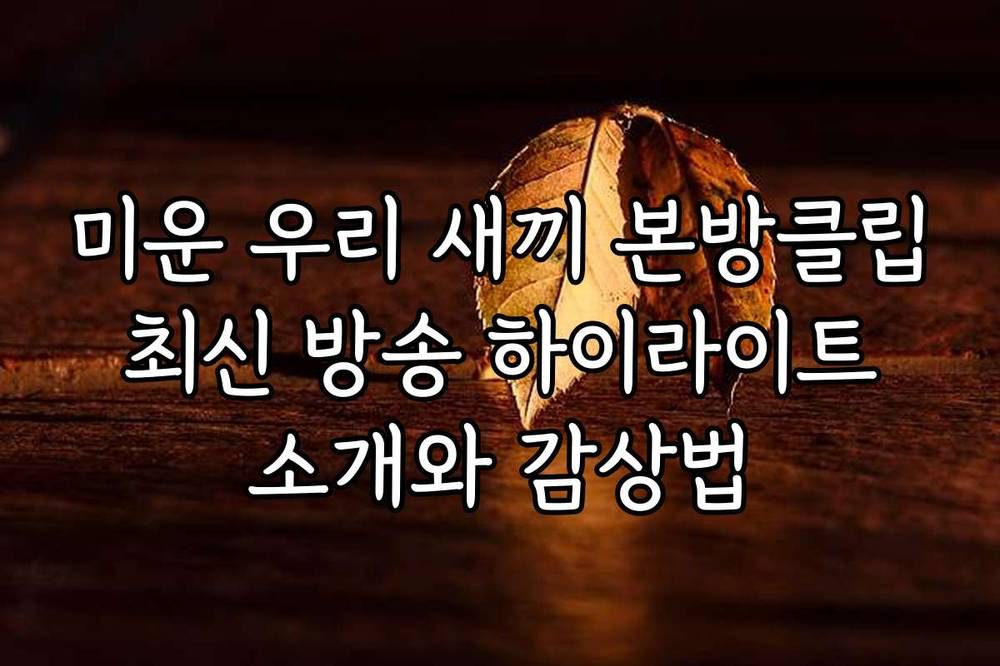 미운 우리 새끼 본방클립 최신 방송 하이라이트 소개와 감상법