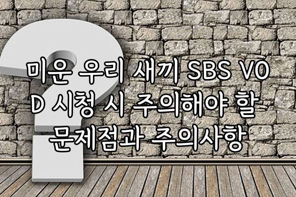 미운 우리 새끼 SBS VOD 시청 시 주의해야 할 문제점과 주의사항