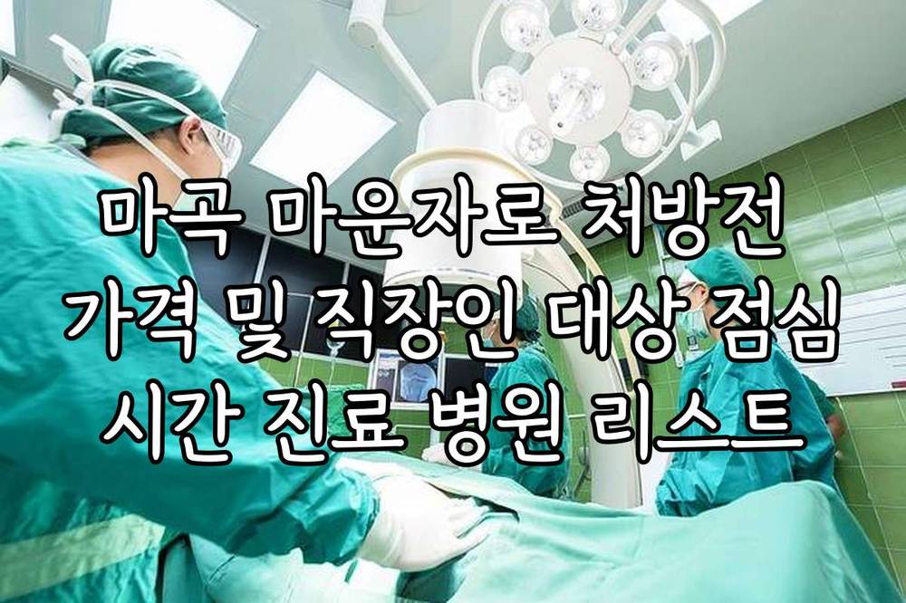 마곡 마운자로 처방전 가격 및 직장인 대상 점심시간 진료 병원 리스트