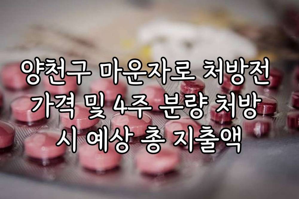 양천구 마운자로 처방전 가격 및 4주 분량 처방 시 예상 총 지출액