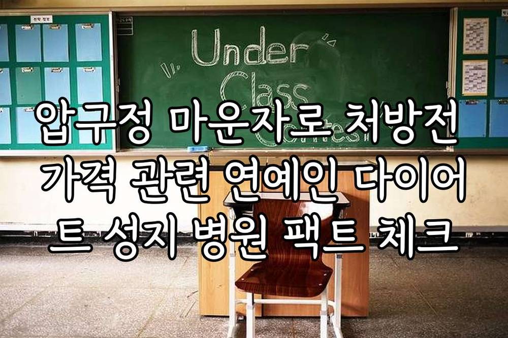 압구정 마운자로 처방전 가격 관련 연예인 다이어트 성지 병원 팩트 체크