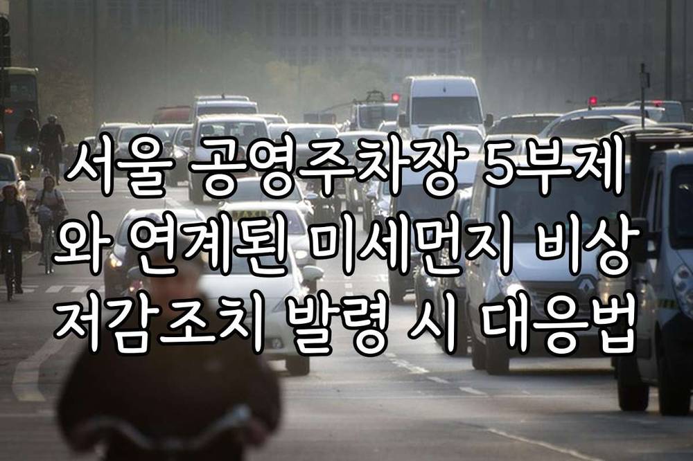 서울 공영주차장 5부제와 연계된 미세먼지 비상저감조치 발령 시 대응법