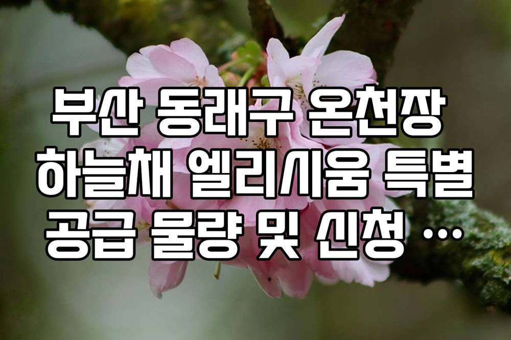 부산 동래구 온천장 하늘채 엘리시움 특별공급 물량 및 신청 조건 정리