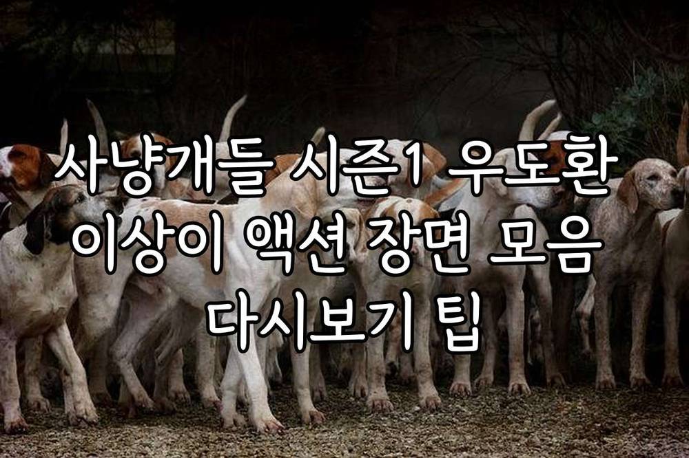 사냥개들 시즌1 우도환 이상이 액션 장면 모음 다시보기 팁