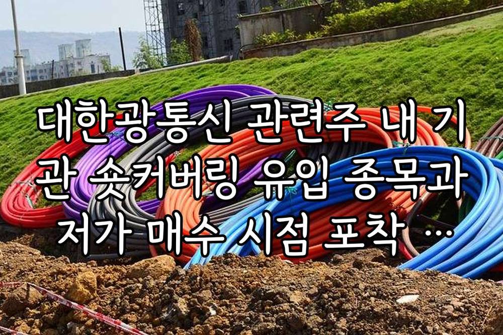 대한광통신 관련주 내 기관 숏커버링 유입 종목과 저가 매수 시점 포착 가이드